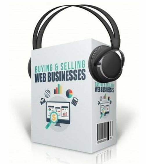Buying-Selling-Web-Businesses_387x480.jpg