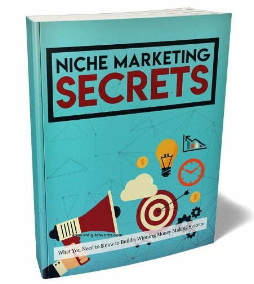 Niche-Maketing-Secrets_411x480.jpg