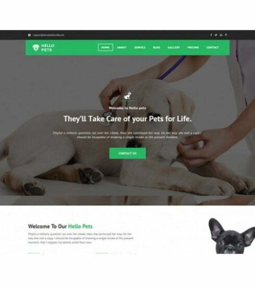 pet-care-html-template_640x433.jpg